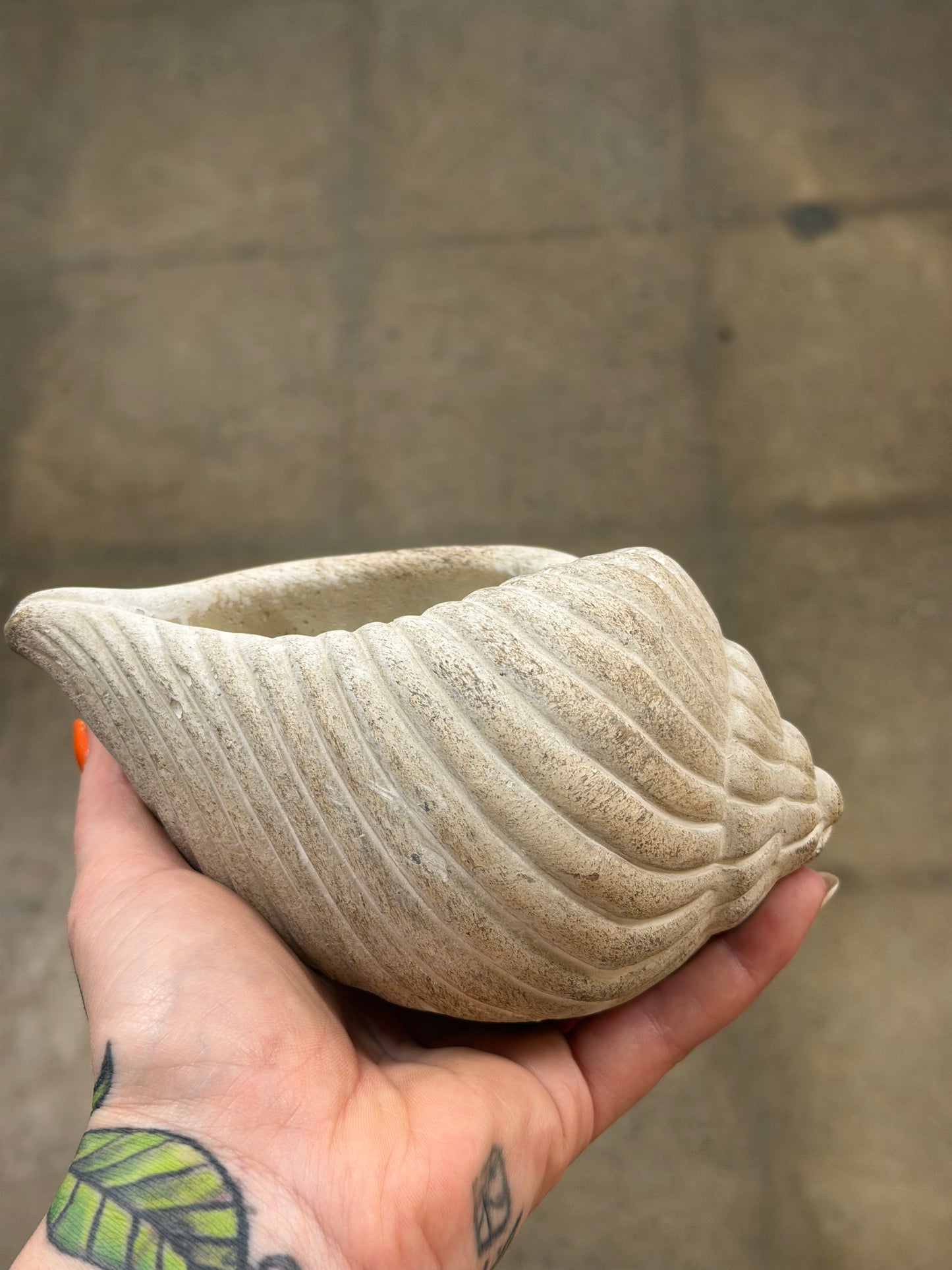 Cache pot Coquillage