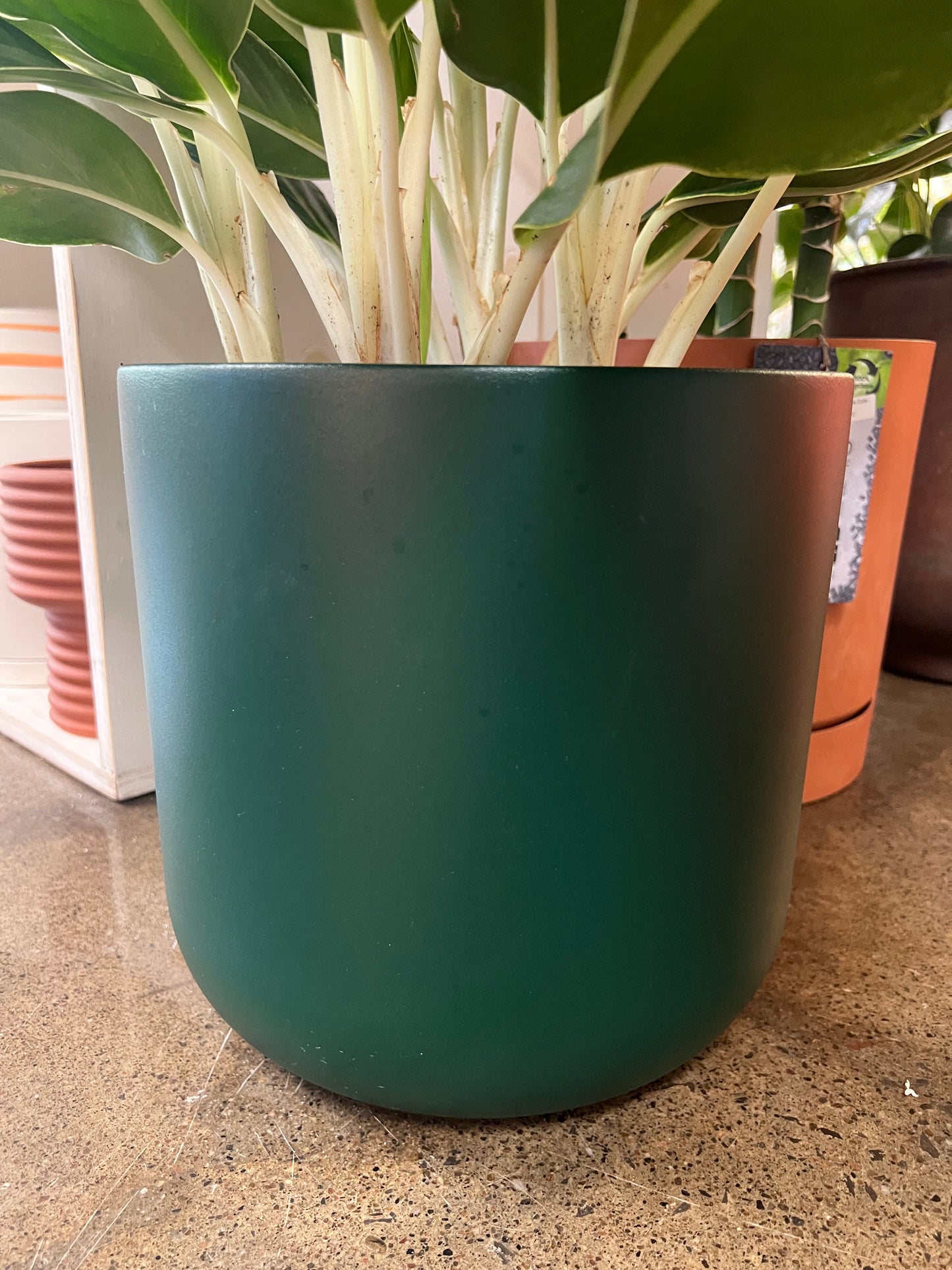 Green Padel Planter