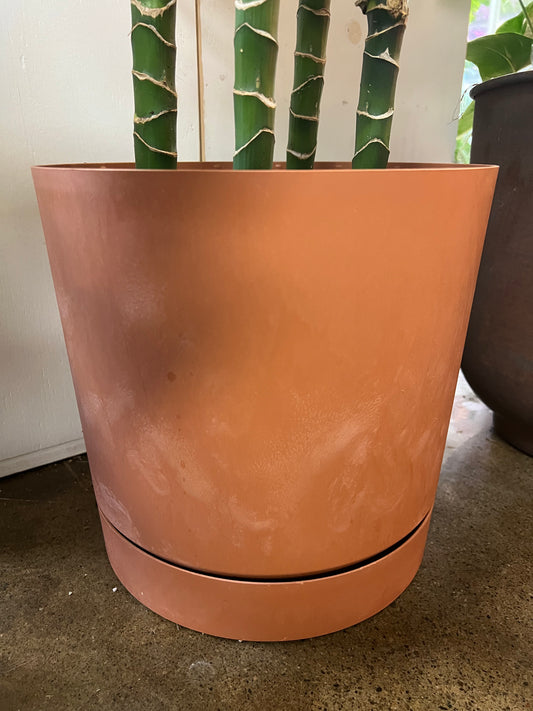 Cache pot Tubo Terre Cuite