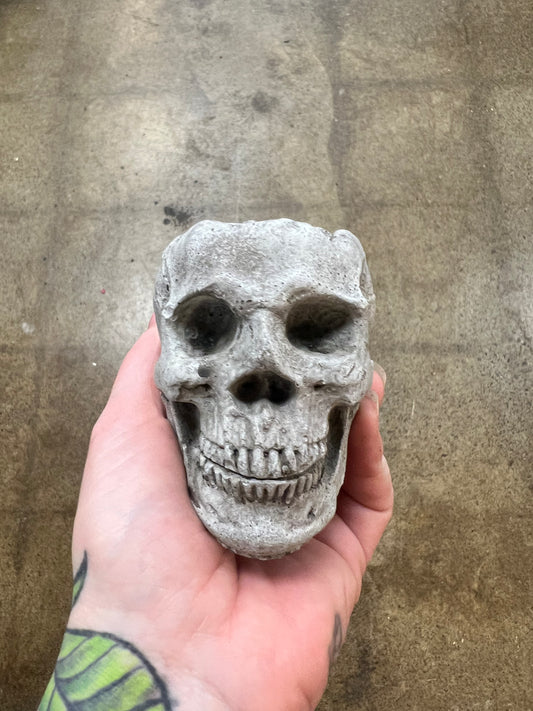 Cache pot Tête de mort