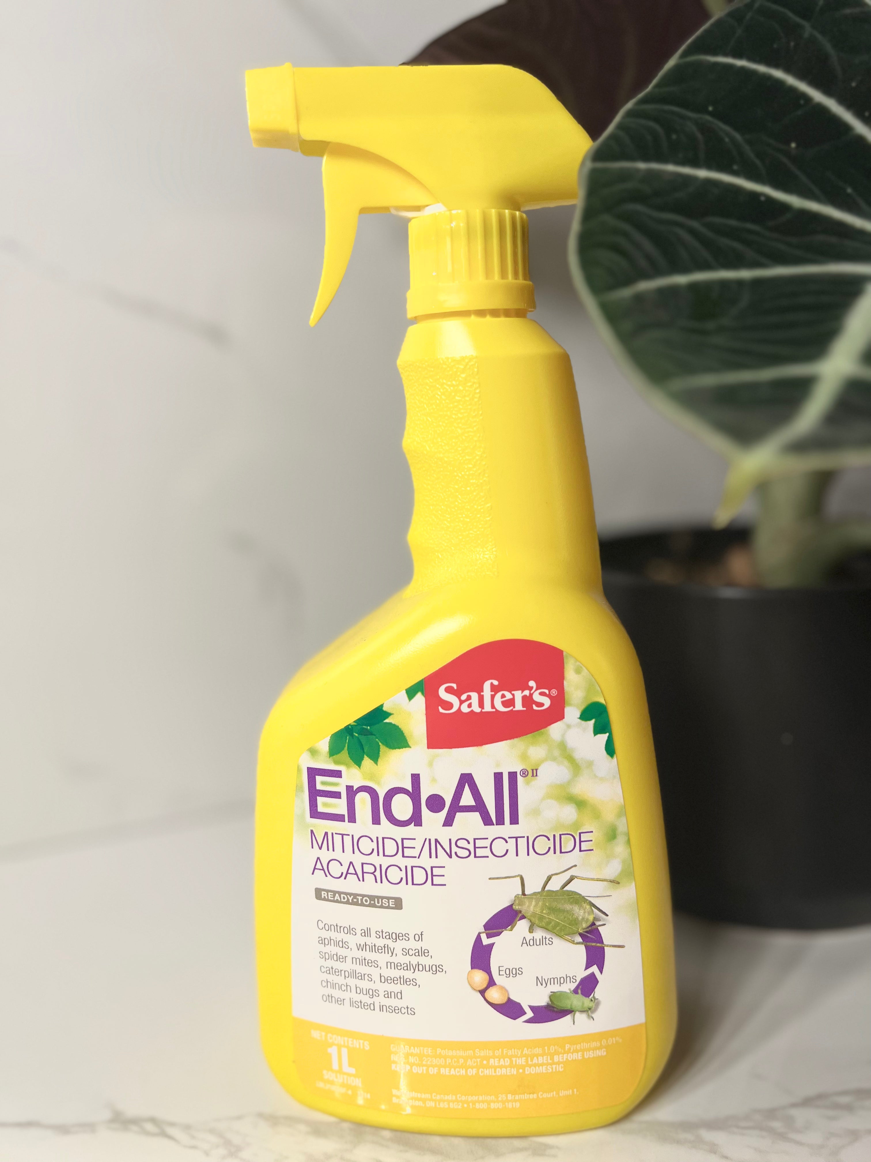 Insecticide End All – jungleroseinc